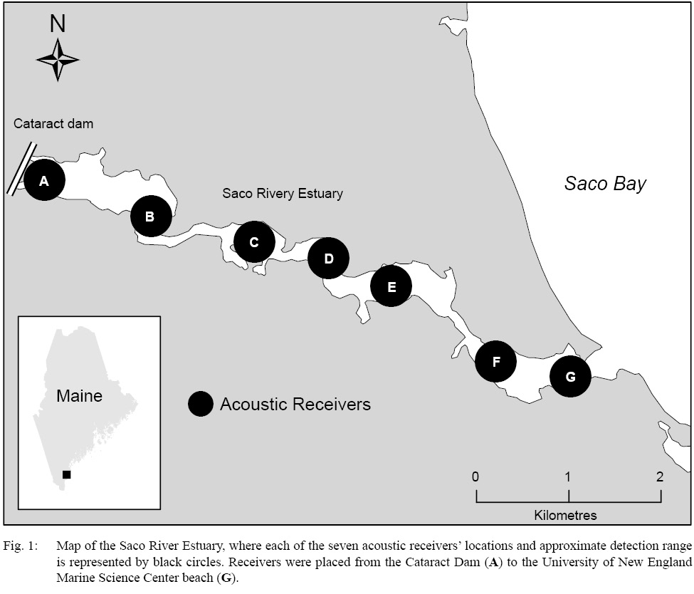 Figure 1 Figure 1