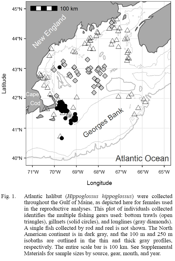 Figure 1 Figure 1